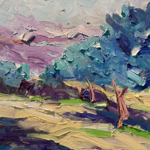 Oliviers sainte colombe.30x40