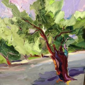 Oliviers Palau 90x90