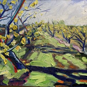 Pêchers alenya 60x40