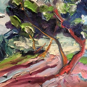 Plage de paulilles 30x40